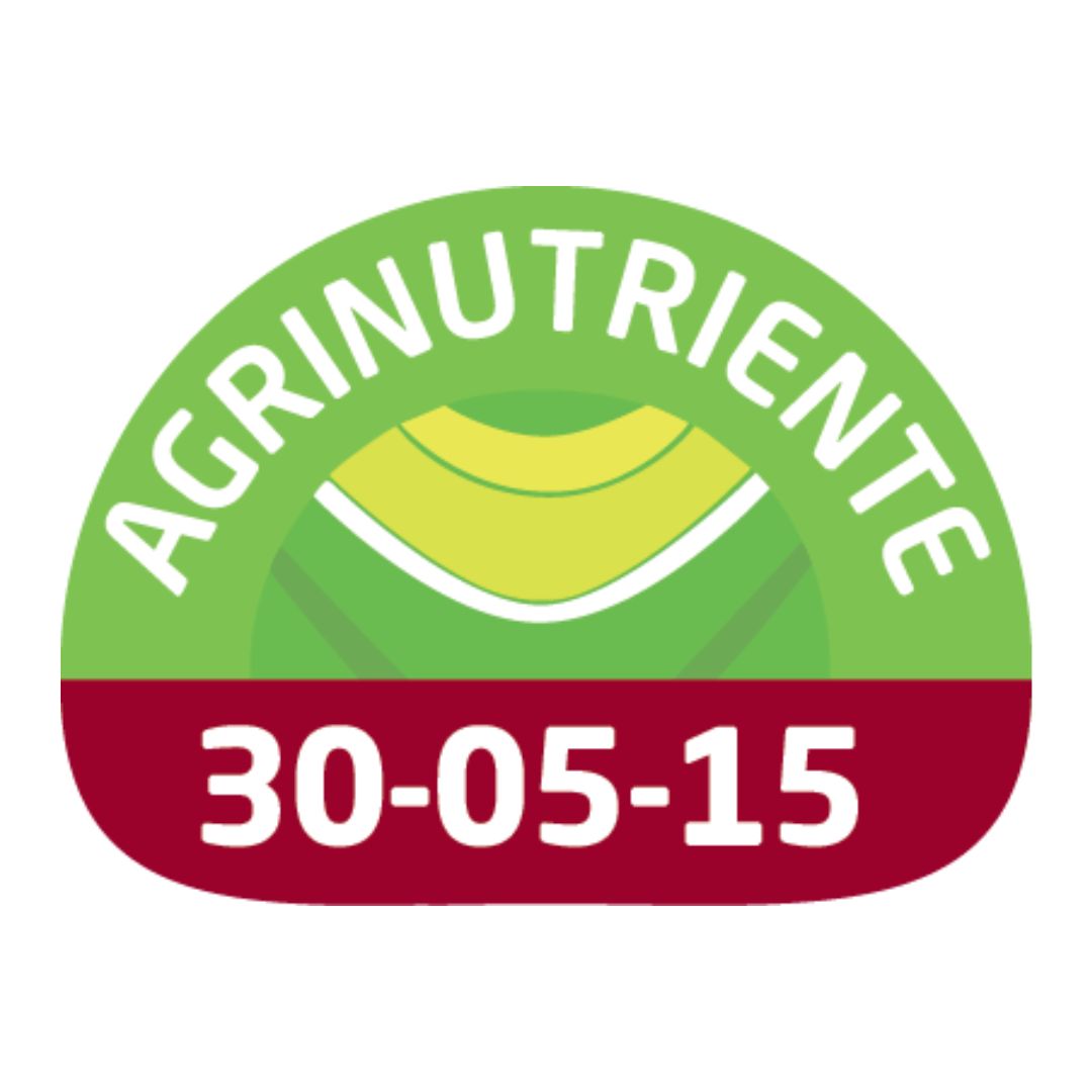 30-05-15 (Desarrollo)