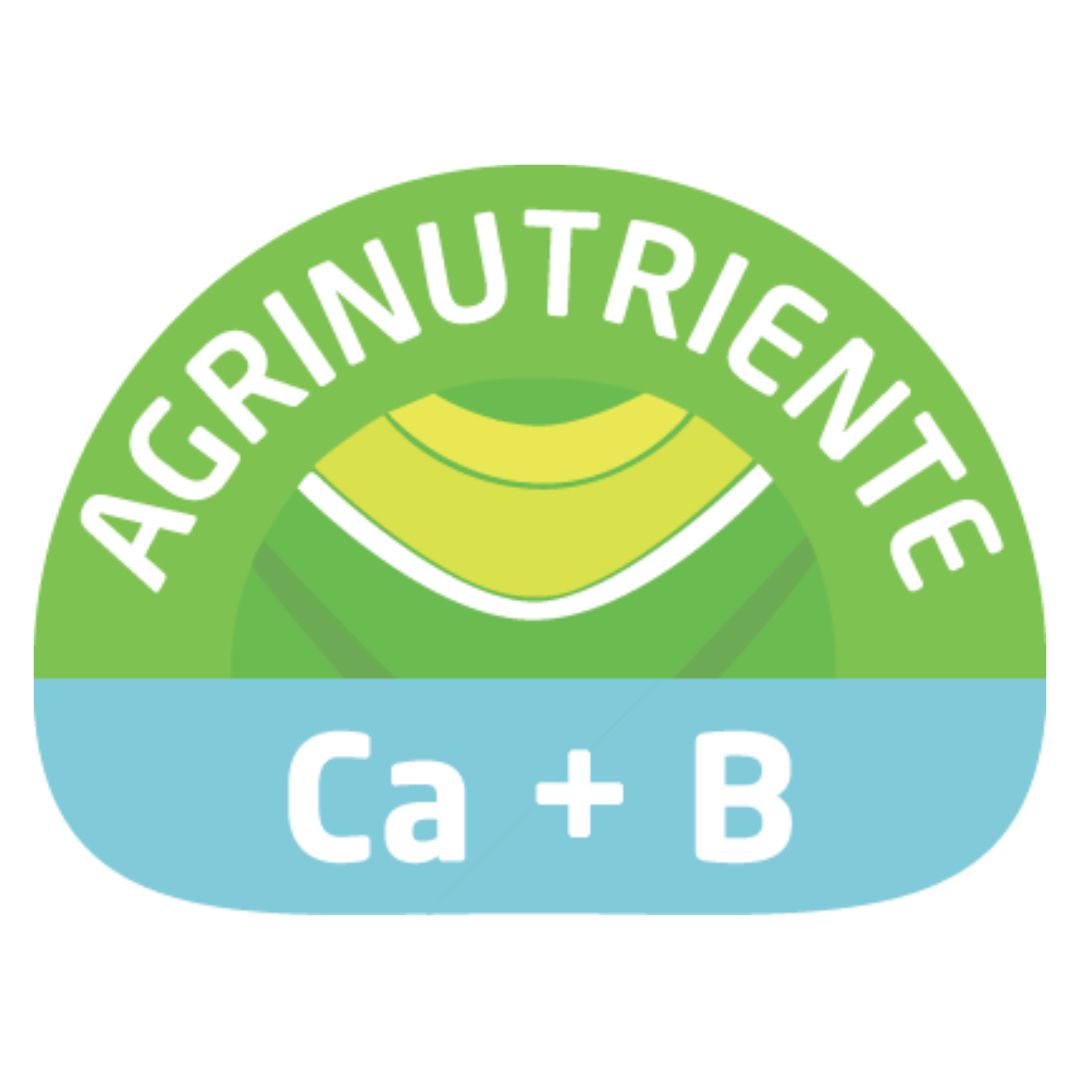 Ca+B