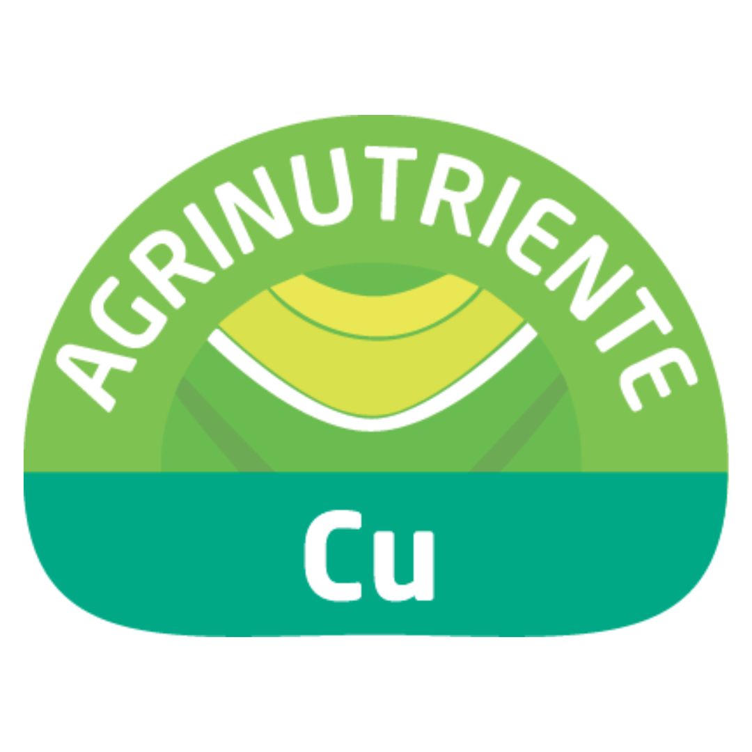 Cu (Cobre)