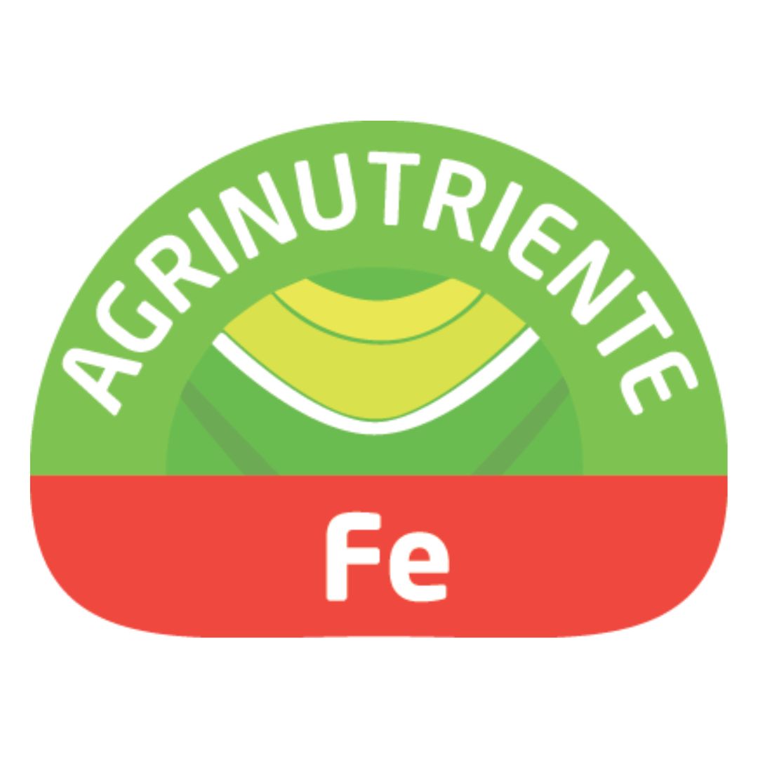 Fe (Hierro)