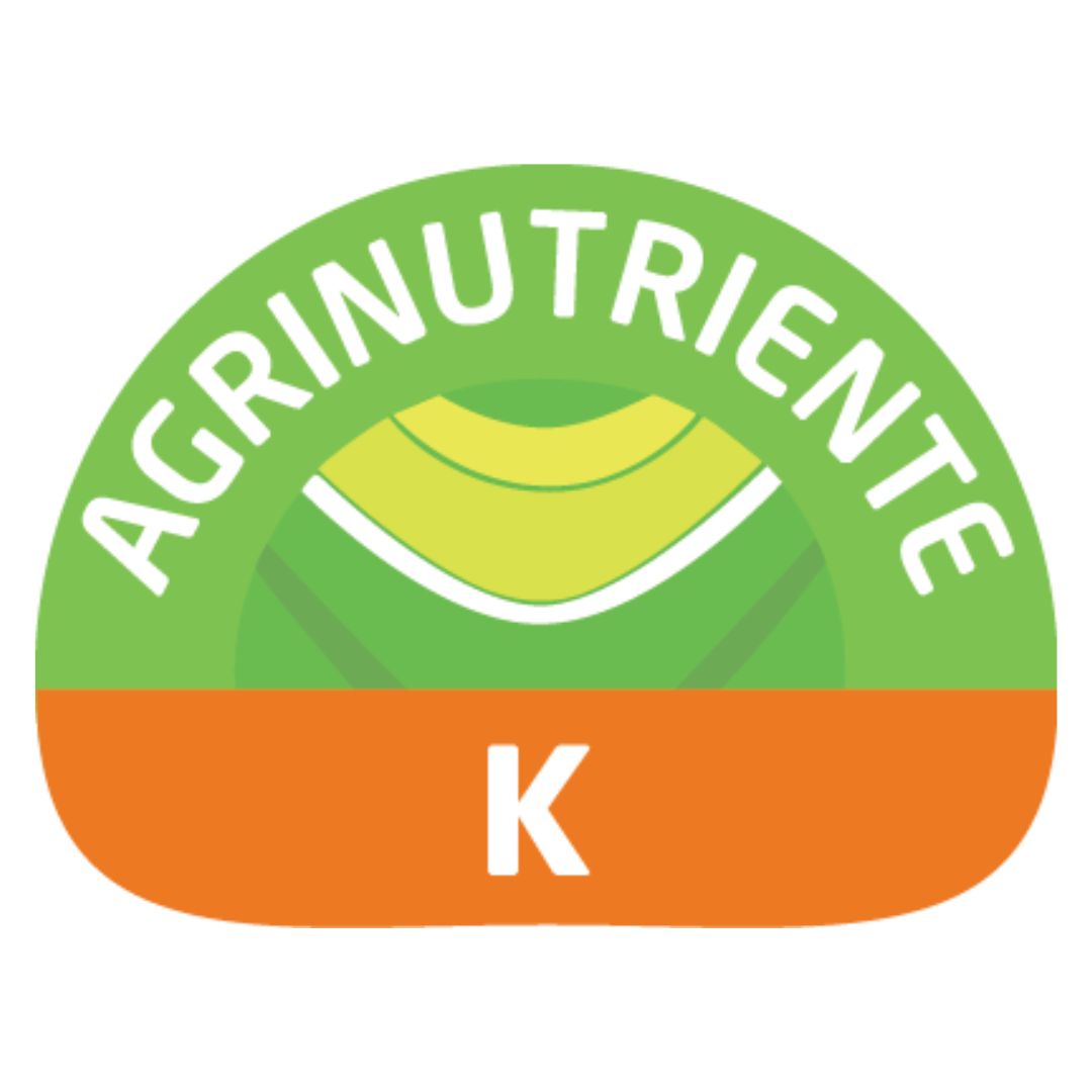 K (Potasio)