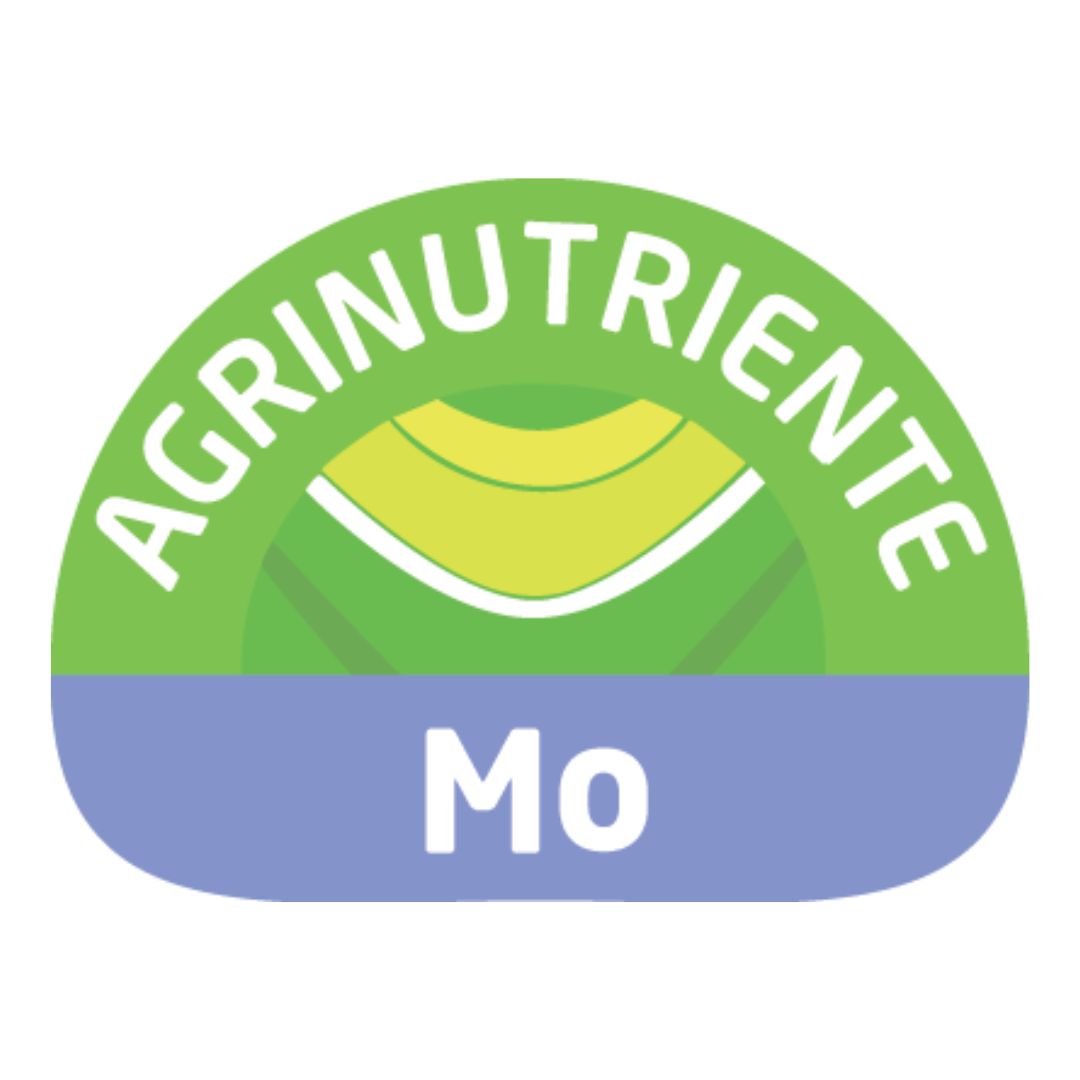 Mo (Molibdeno)