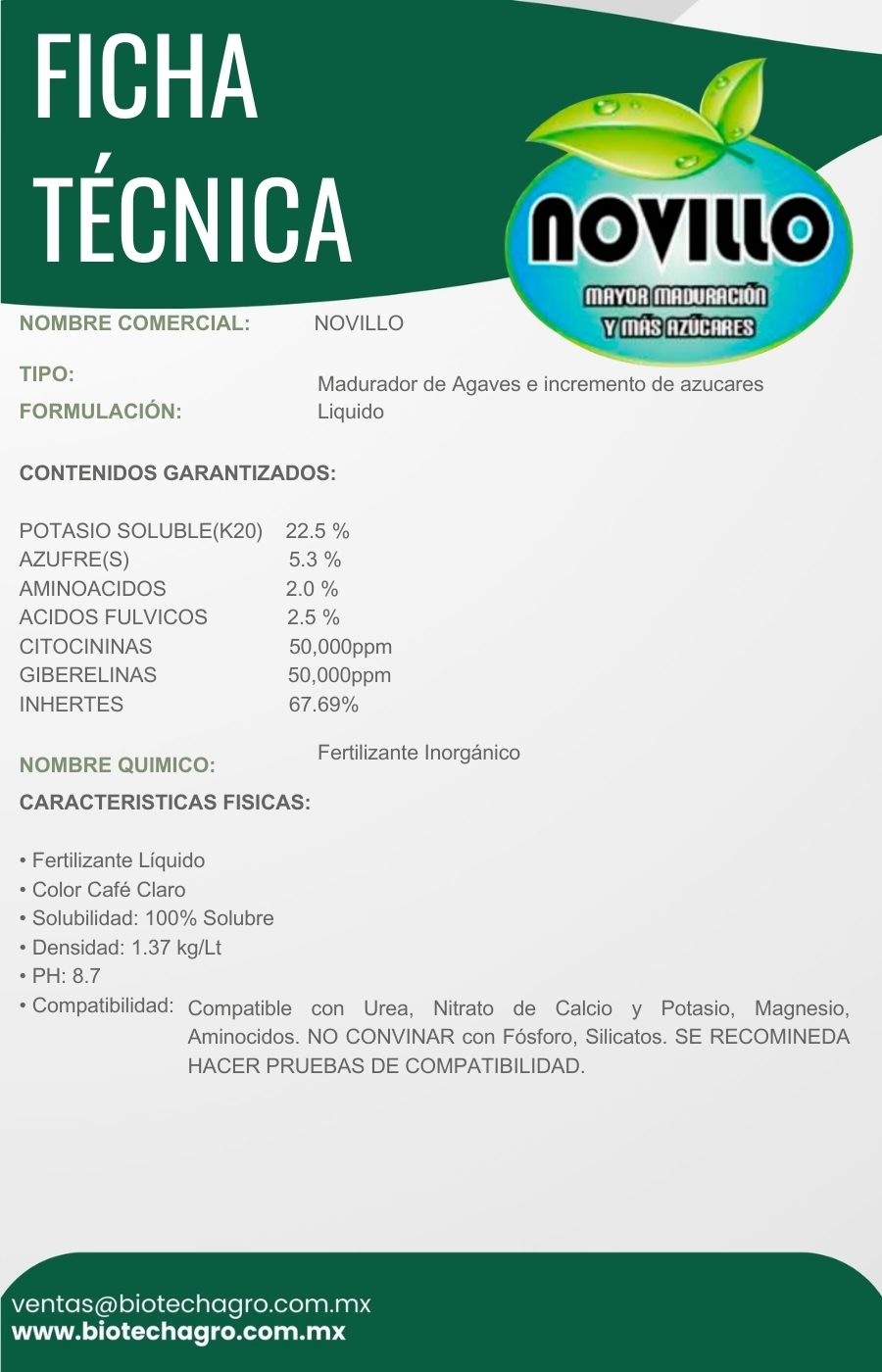 NOVILLO