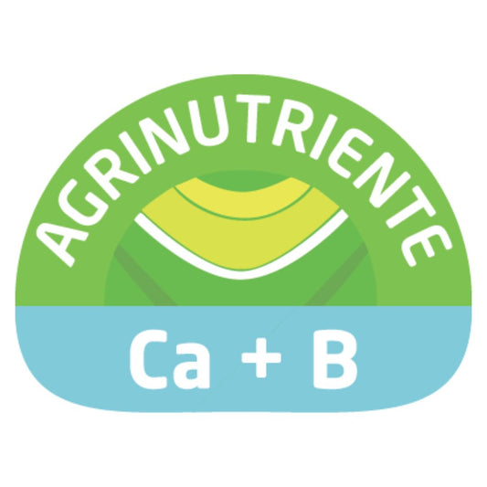 Ca+B