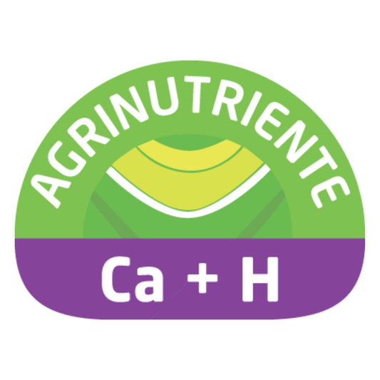 Ca+H (Calcio)