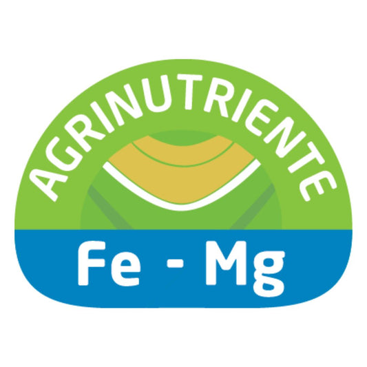 Fe-Mg