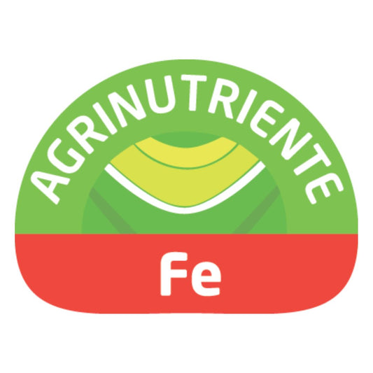 Fe (Hierro)
