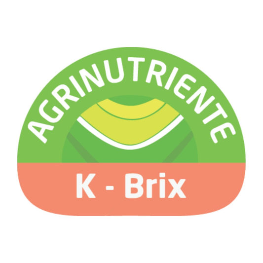 K-BRIX