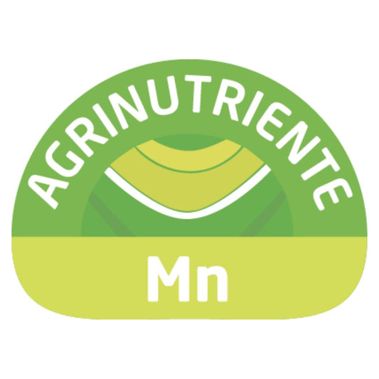 Mn (Manganeso)