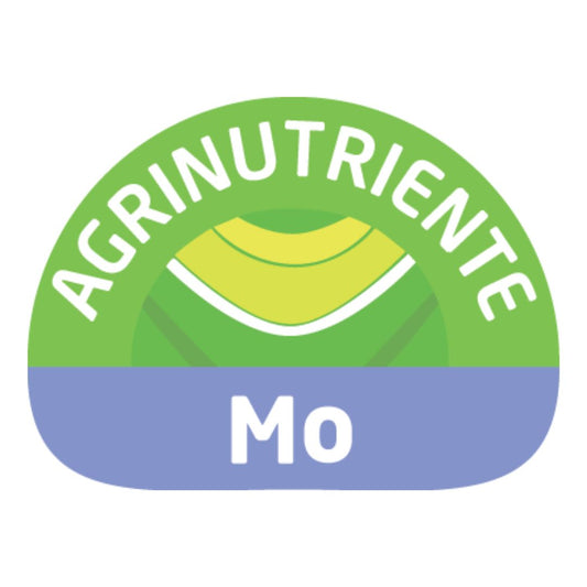 Mo (Molibdeno)