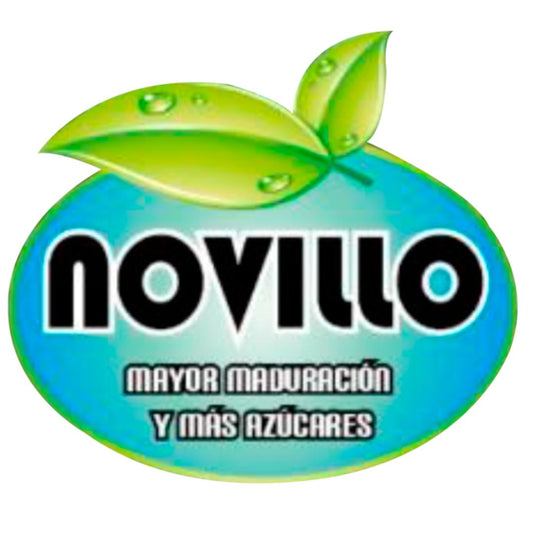 NOVILLO