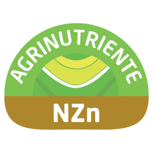 NZn (Zinc)