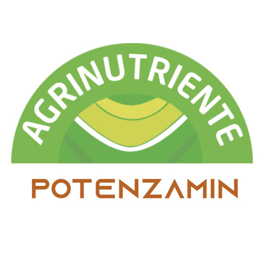POTENZAMIN