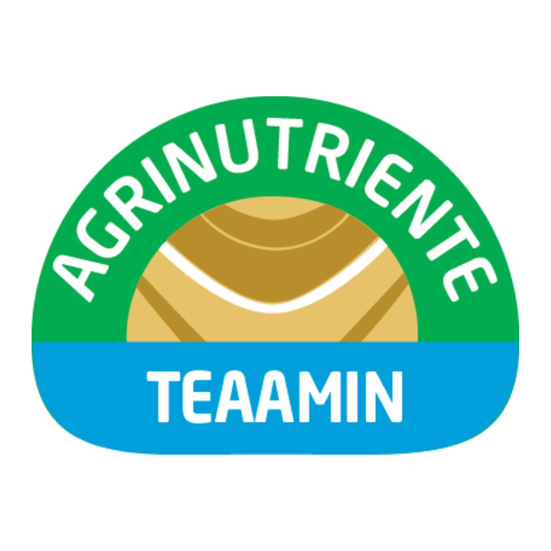TEAAMIN