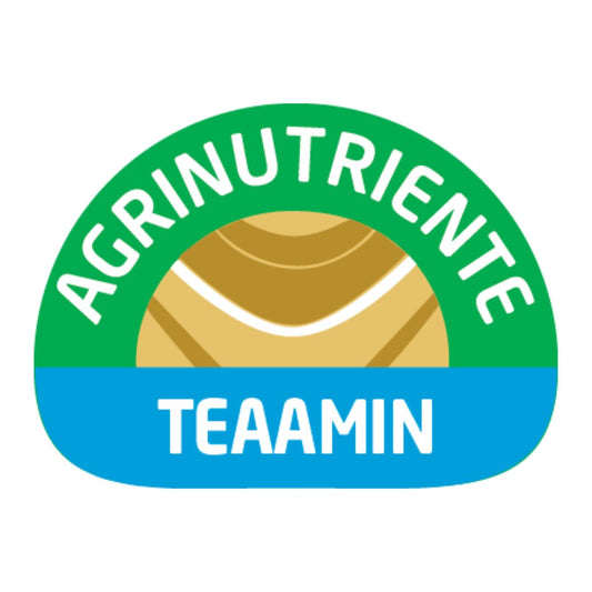 TEAAMIN